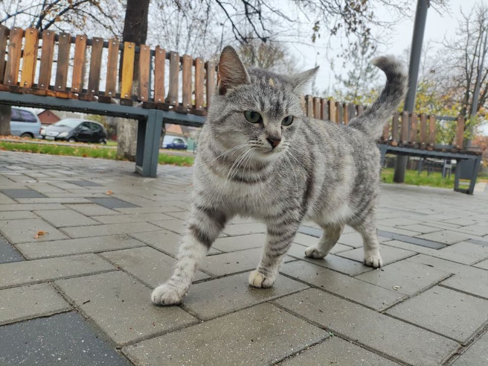 В Бендерской специальной (коррекционной) школе-интернате прошёл турнир по настольному теннису В Бендерской специальной (коррекционной) школе-интернате прошёл турнир по настольному теннису