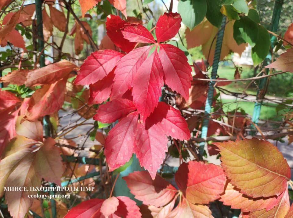 Доброго утра!. Прогноз погоды на сегодня, 12 ноября