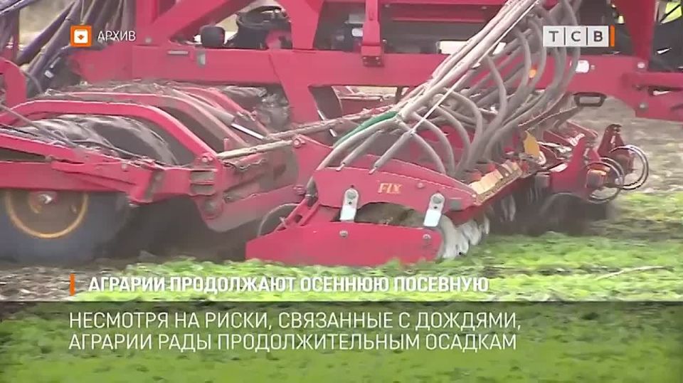 Осенняя посевная заканчивается, сейчас аграрии ждут, когда пройдёт волна дождей