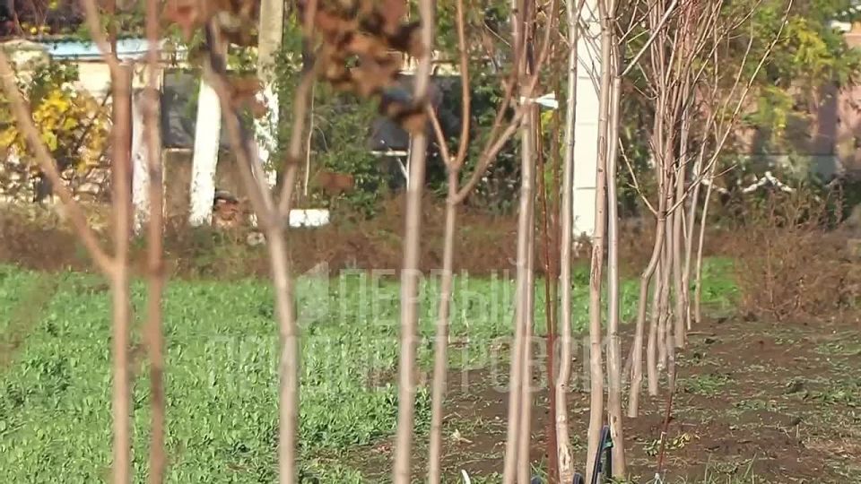 «Наверное, у каждого человека есть возможность так делать»