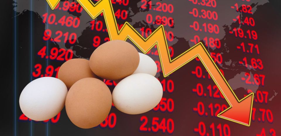 В Румынии растёт дефицит куриных яиц