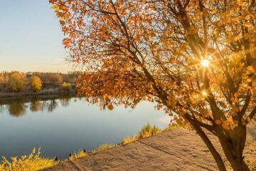 Погода в ноябре будет переменчивой