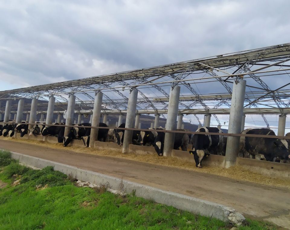 Рыбницкое ООО «Рист» представило на республиканский конкурс «Приднестровское качество» одну номинацию – «Растительное масло»