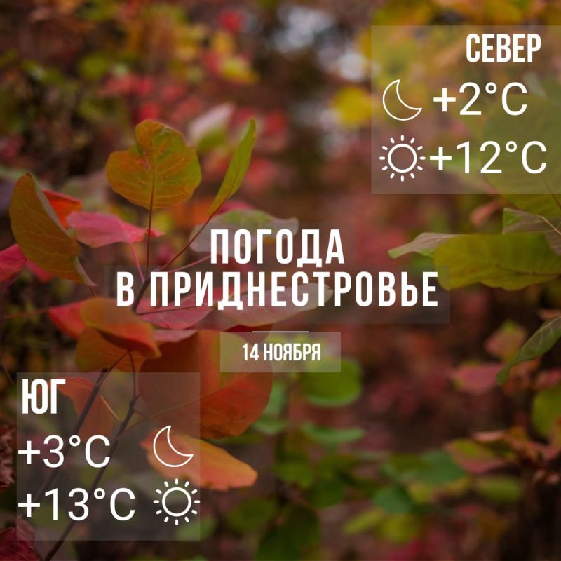 Днём – до +13°С. Без осадков
