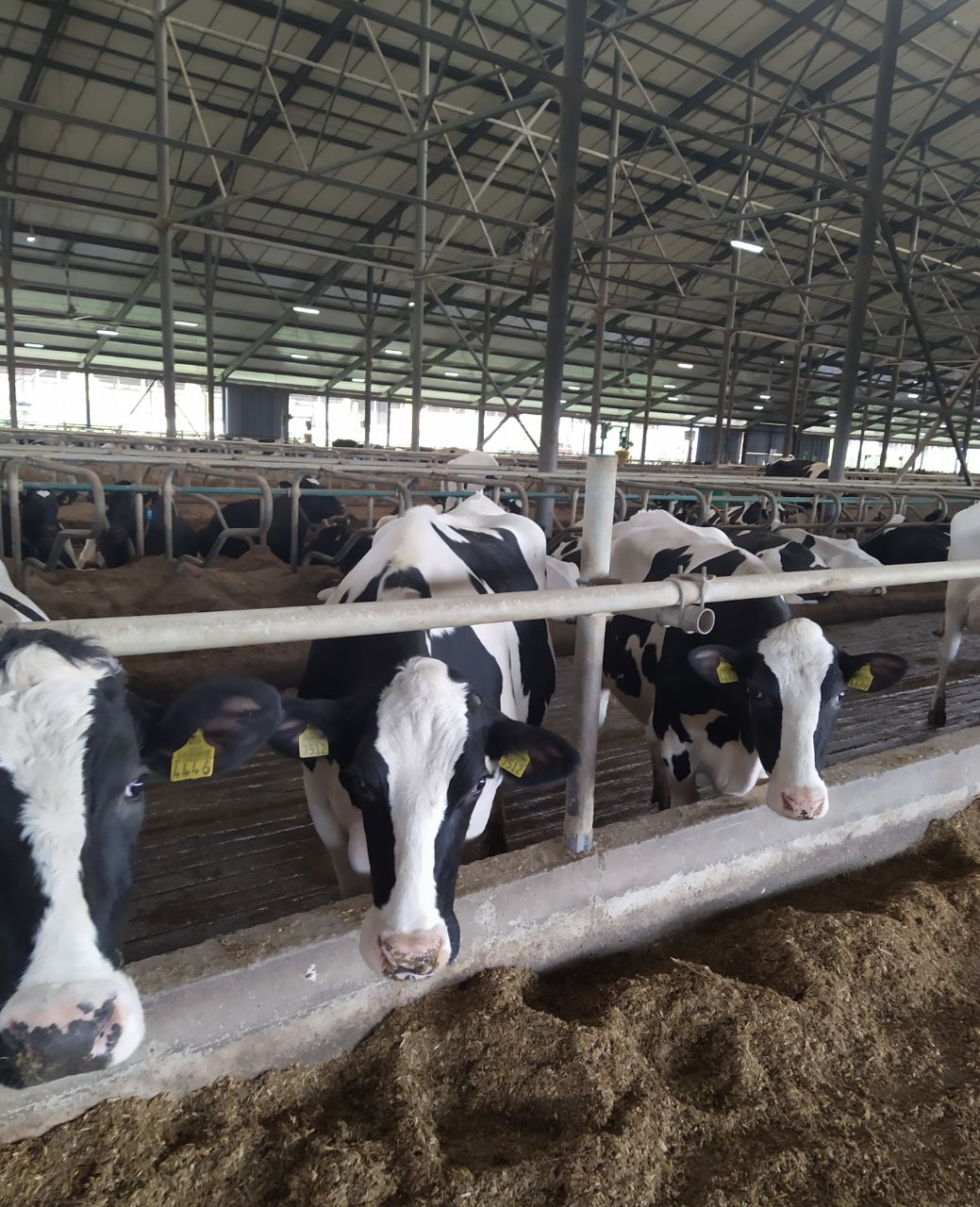 Рыбницкое ООО «Рист» представило на республиканский конкурс «Приднестровское качество» одну номинацию – «Растительное масло» Рыбницкое ООО «Рист» представило на республиканский конкурс «Приднестровское качество» одну номинацию – «Растительное масло»