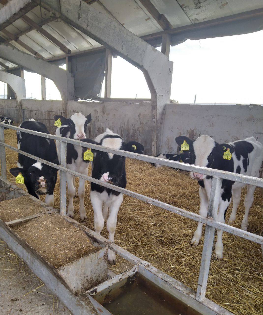 Рыбницкое ООО «Рист» представило на республиканский конкурс «Приднестровское качество» одну номинацию – «Растительное масло» Рыбницкое ООО «Рист» представило на республиканский конкурс «Приднестровское качество» одну номинацию – «Растительное масло»