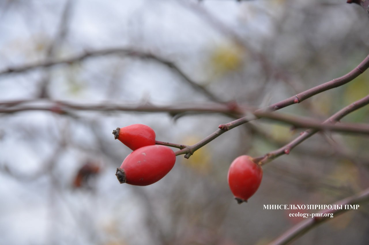 Доброго утра!. Прогноз погоды на сегодня, 14 ноября