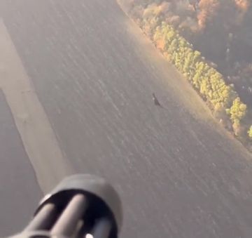 # # # -8    ""    -134 Minigun