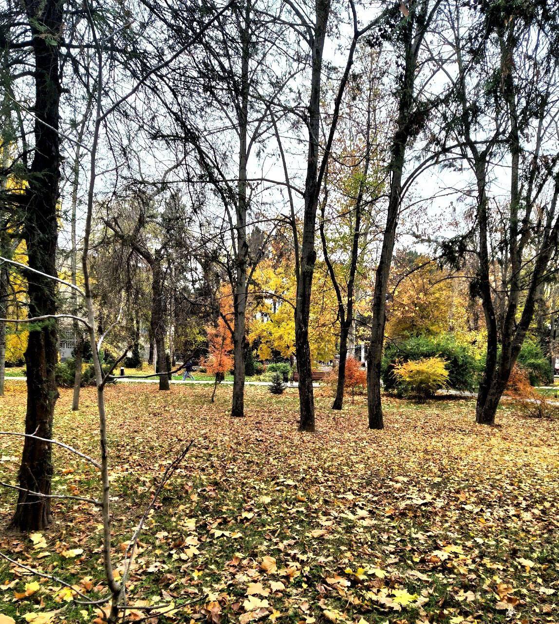 Краски приднестровской осени Краски приднестровской осени