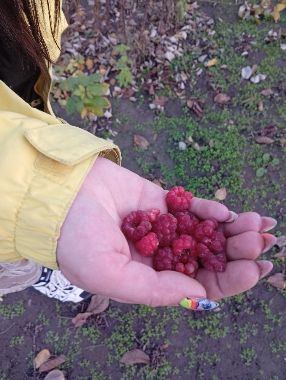 Середина ноября