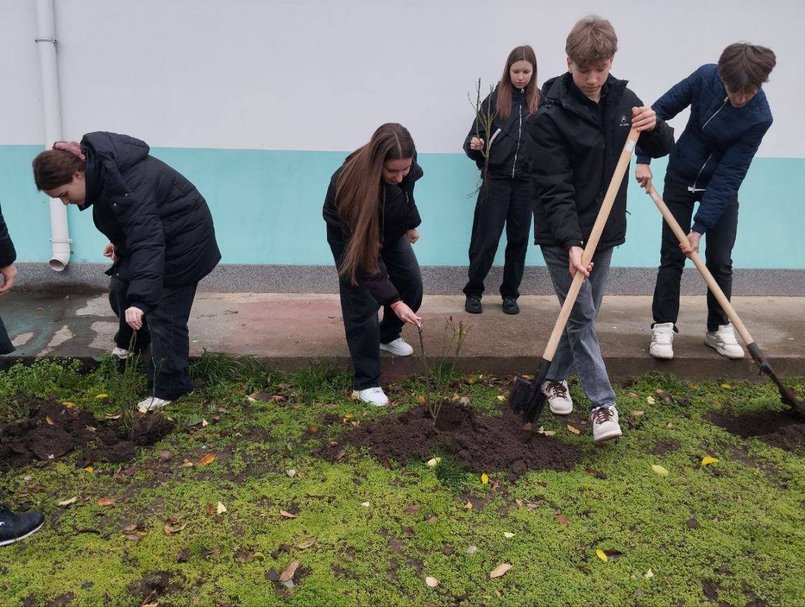 В рамках реализации президентской инициативы по благоустройству в Рыбницком районе и г.Рыбница запланировано высадить 2289 саженцев роз В рамках реализации президентской инициативы по благоустройству в Рыбницком районе и г.Рыбница запланировано высадить 2289 саженцев роз