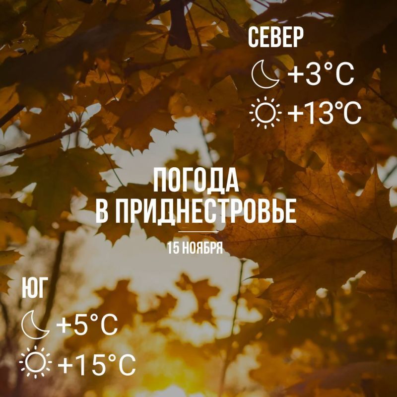 Днём – до +15°С, без осадков