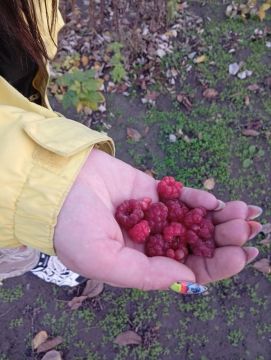 Середина ноября