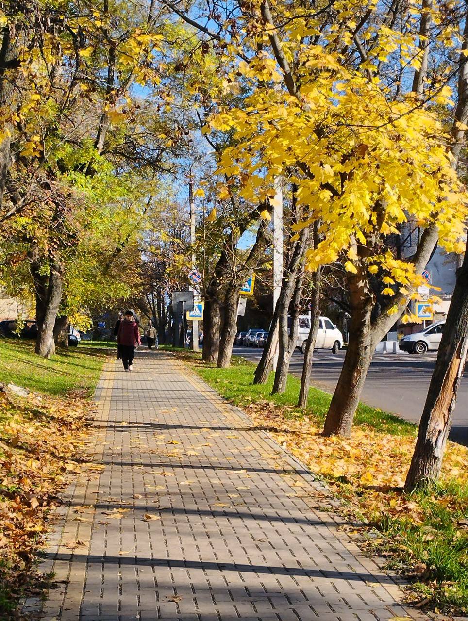 Краски приднестровской осени Краски приднестровской осени