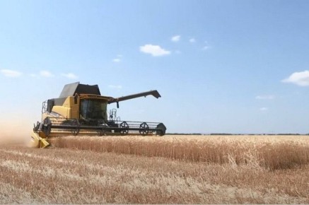 Президент поздравил работников сельского хозяйства и перерабатывающей промышленности с профессиональным праздником: