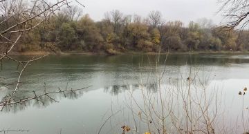 Погода будут колебаться от прохладной к необычно тёплой для ноября