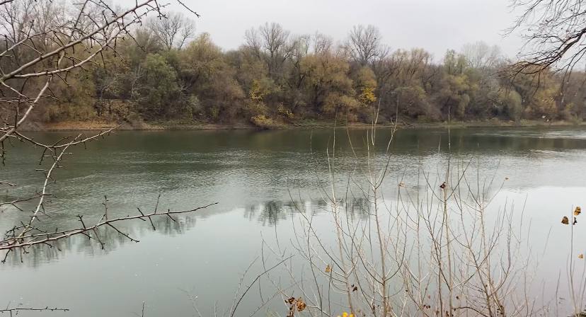 Погода будут колебаться от прохладной к необычно тёплой для ноября