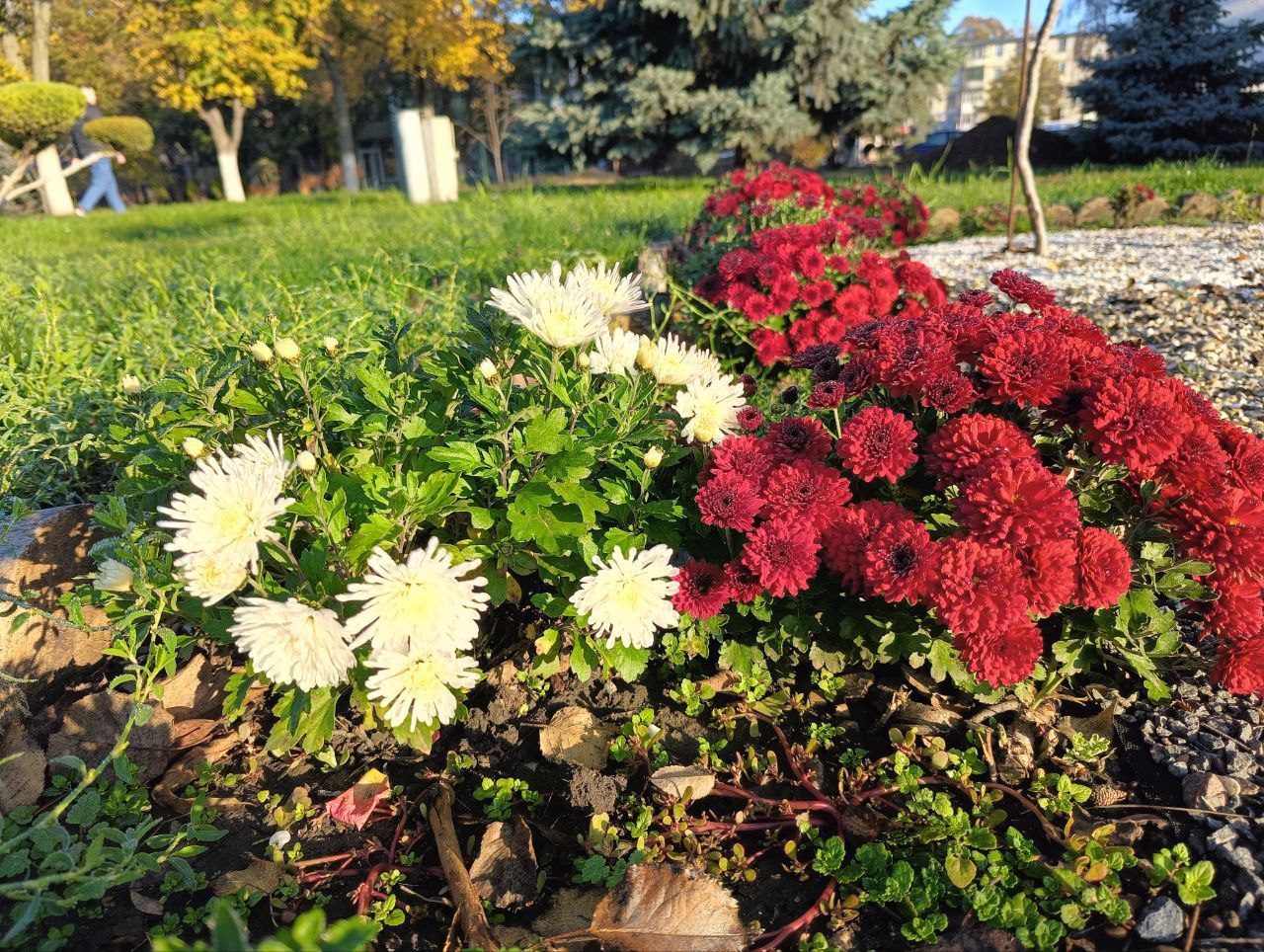 А завтра, 17 ноября, нас ждёт теплая погода, без осадков