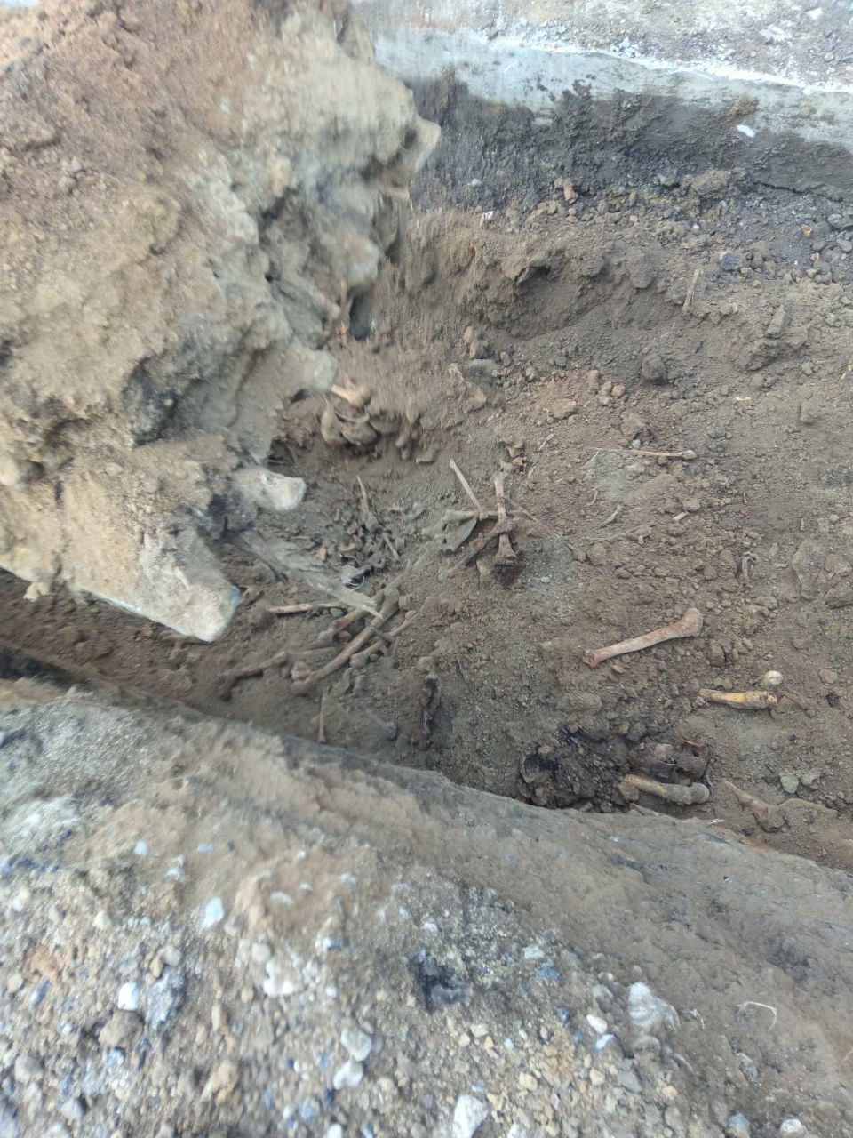 В Тирасполе обнаружено массовое захоронение времён Великой Отечественной войны В Тирасполе обнаружено массовое захоронение времён Великой Отечественной войны