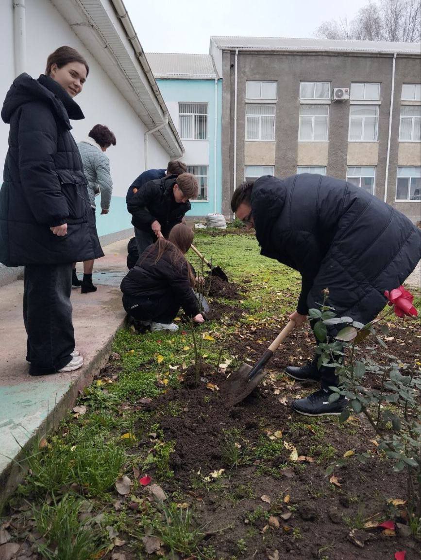 В Рыбницком районе и в Рыбнице высадят 2289 саженцев роз В Рыбницком районе и в Рыбнице высадят 2289 саженцев роз