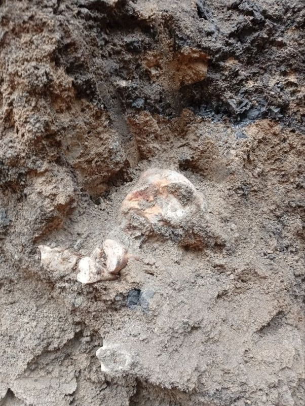 В Тирасполе нашли массовое захоронение, предположительно времён Великой Отечественной войны В Тирасполе нашли массовое захоронение, предположительно времён Великой Отечественной войны