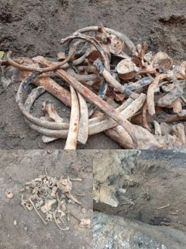 Останки более 50 человек обнаружили в Тирасполе во время земляных работ на одной из строек