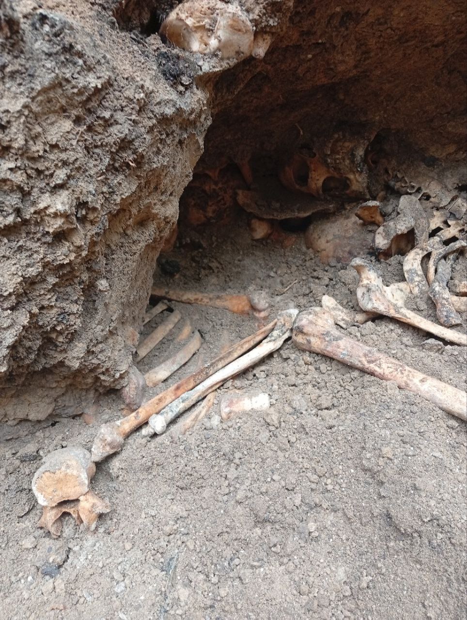 В Тирасполе обнаружено массовое захоронение времён Великой Отечественной войны В Тирасполе обнаружено массовое захоронение времён Великой Отечественной войны