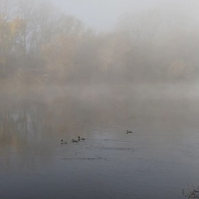 Тирасполь. Типичный радиационный туман - туман, образовавшийся из-за охлаждения у земной поверхности
