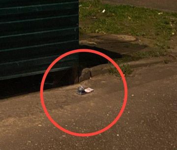 Взрывное устройство нашли в подмосковном Солнечногорске возле пачки пятитысячных купюр