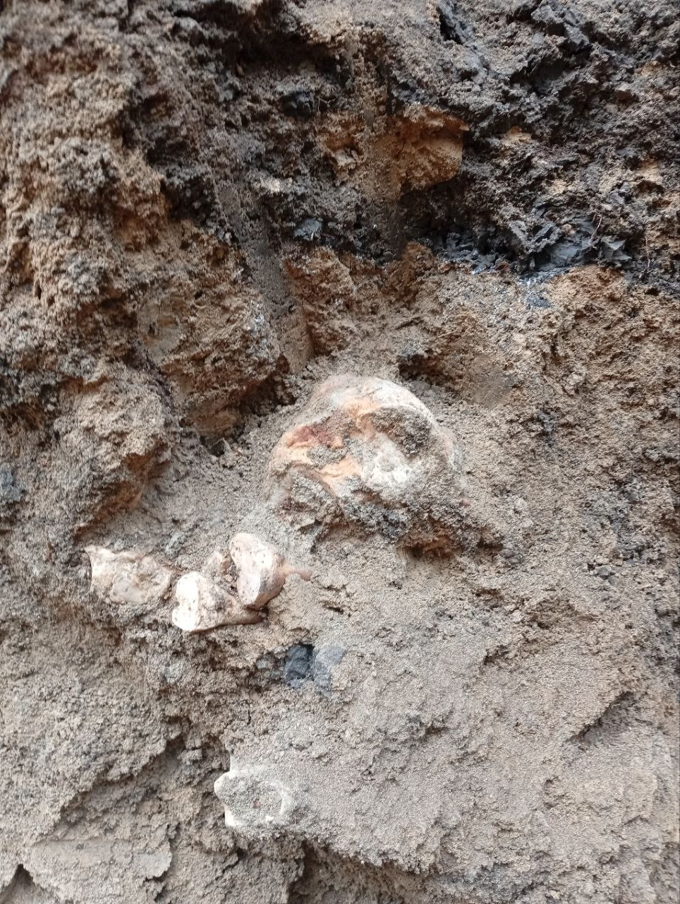 В Тирасполе обнаружено массовое захоронение времён Великой Отечественной войны В Тирасполе обнаружено массовое захоронение времён Великой Отечественной войны