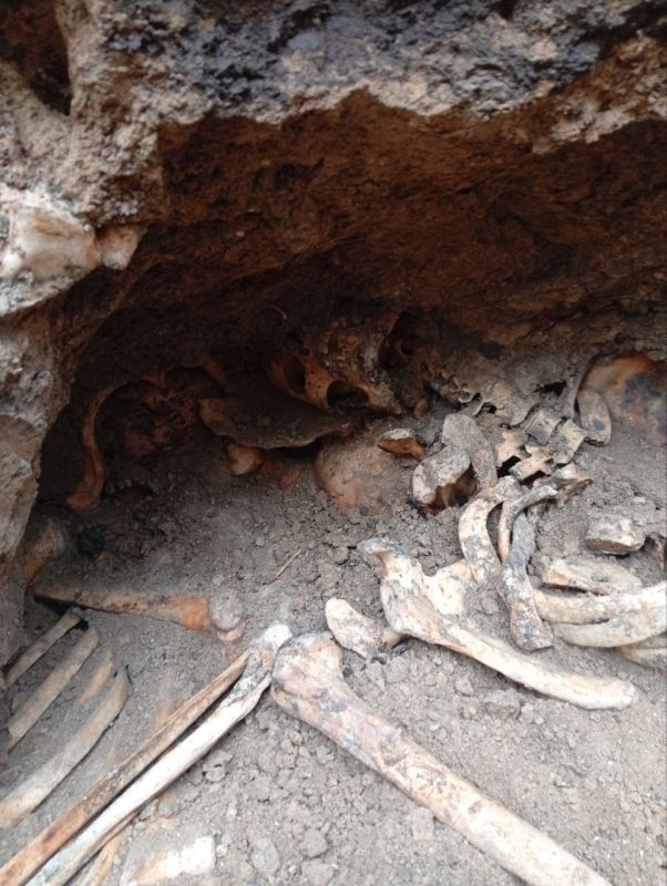 В Тирасполе нашли массовое захоронение, предположительно времён Великой Отечественной войны