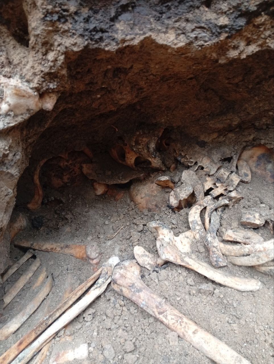 В Тирасполе нашли массовое захоронение, предположительно времён Великой Отечественной войны