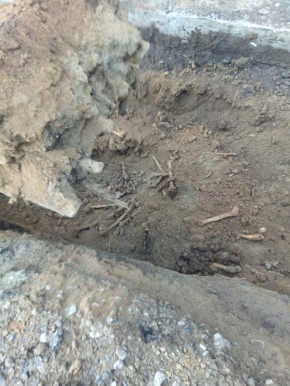 В Тирасполе обнаружено массовое захоронение времён Великой Отечественной войны