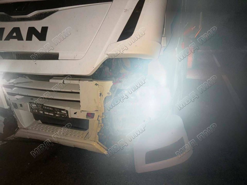 ДТП на трассе Тирасполь — Каменка: погибла лошадь