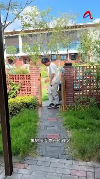 В Китае появился отель, в котором гостей будит настоящий львенок: