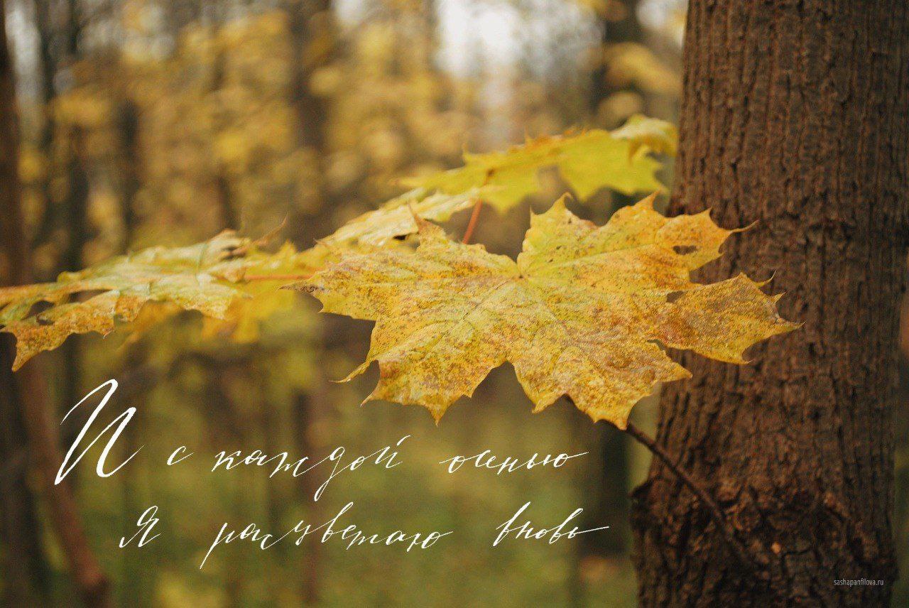 18 ноября – день такой особенный может удивить