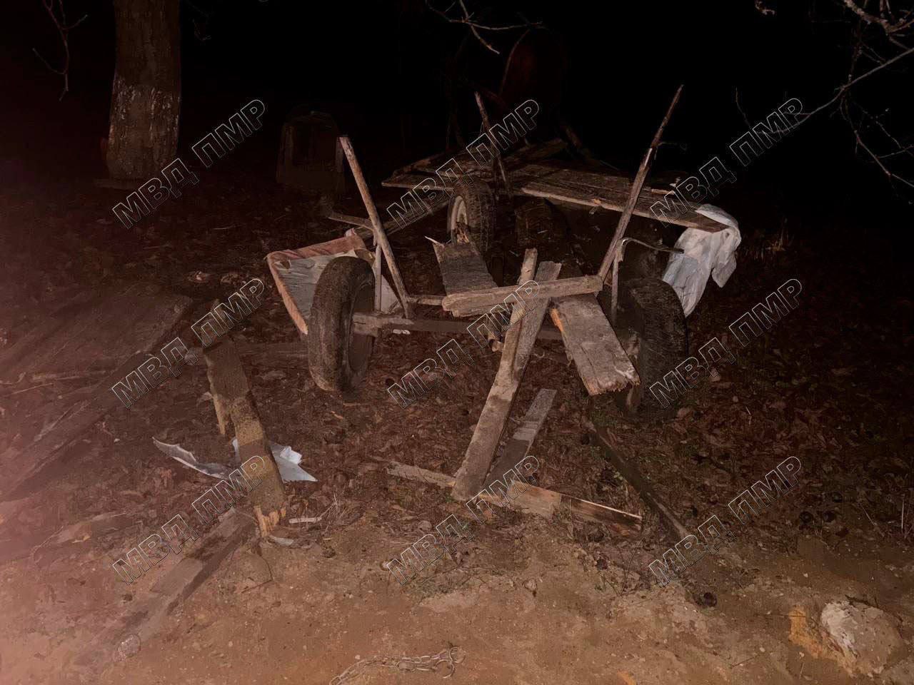 На трассе Тирасполь – Каменка водитель грузовика сбил лошадь На трассе Тирасполь – Каменка водитель грузовика сбил лошадь