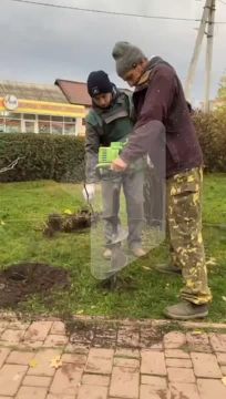 У ЗАГСа в Григориополе высаживают клумбу с розами – более 50 кустов