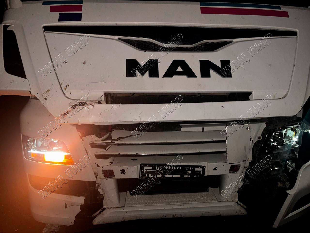 В ДТП на трассе Тирасполь — Каменка грузовик сбил лошадь, которая выскочила на проезжую часть