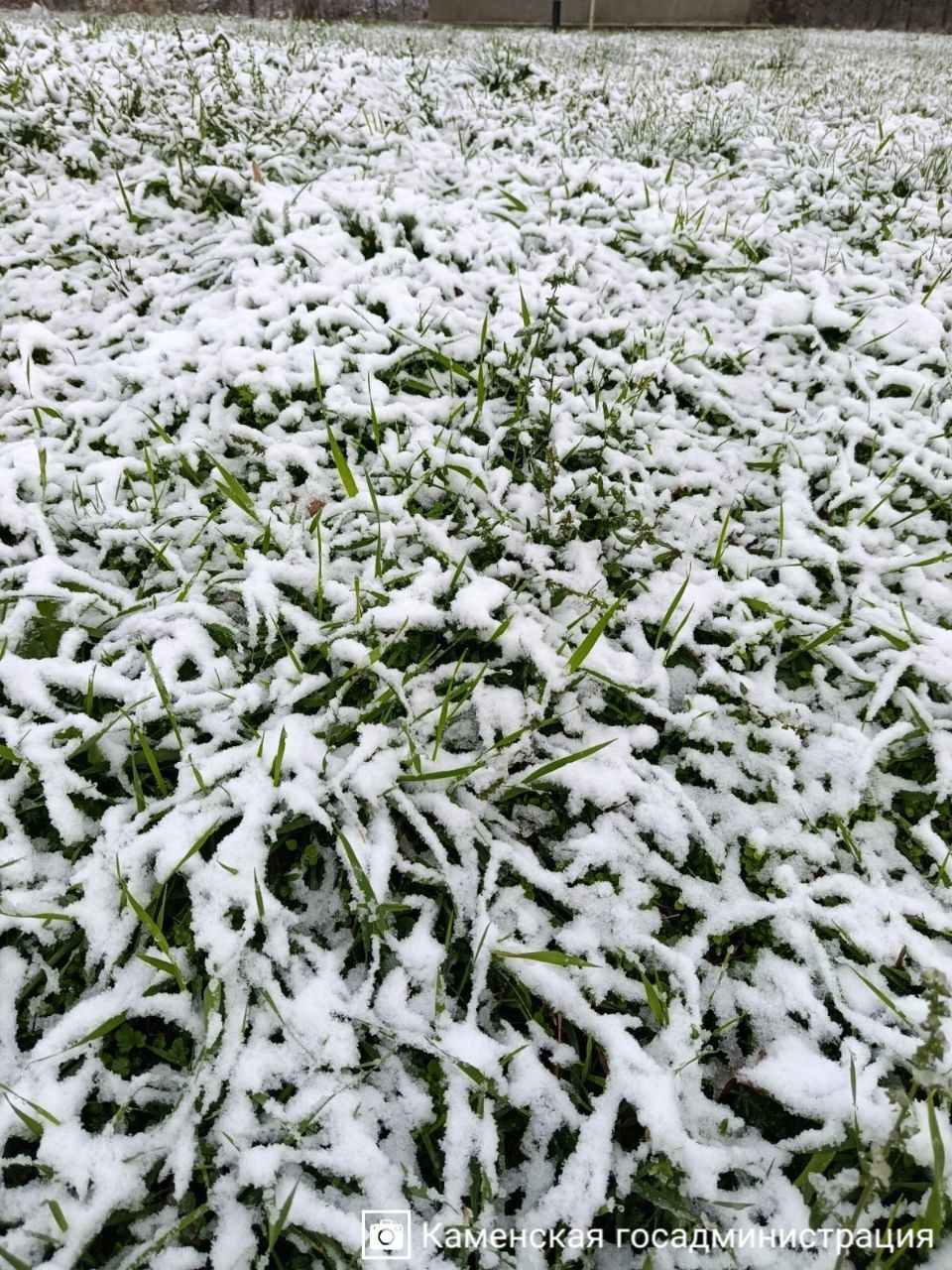 На самом севере Приднестровья, в Каменке, тоже запорошило На самом севере Приднестровья, в Каменке, тоже запорошило