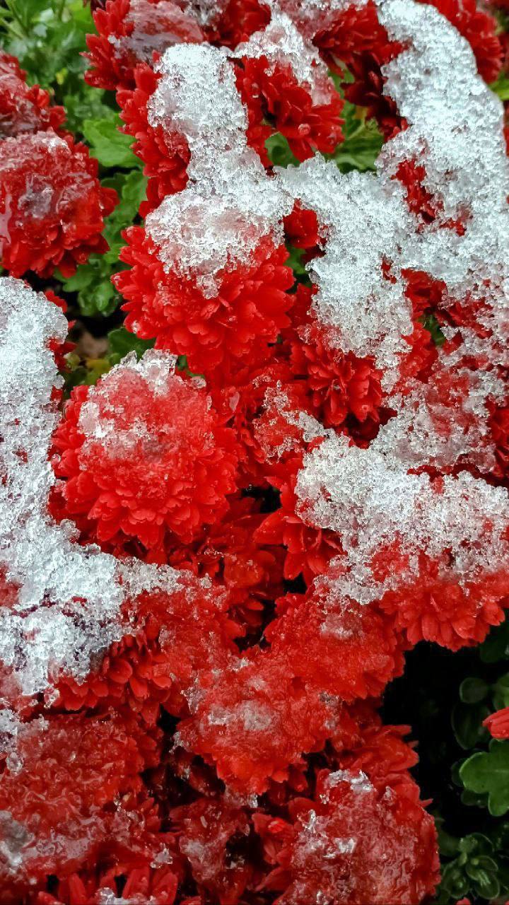 Дубоссары в лёгком снежном покрывале Дубоссары в лёгком снежном покрывале