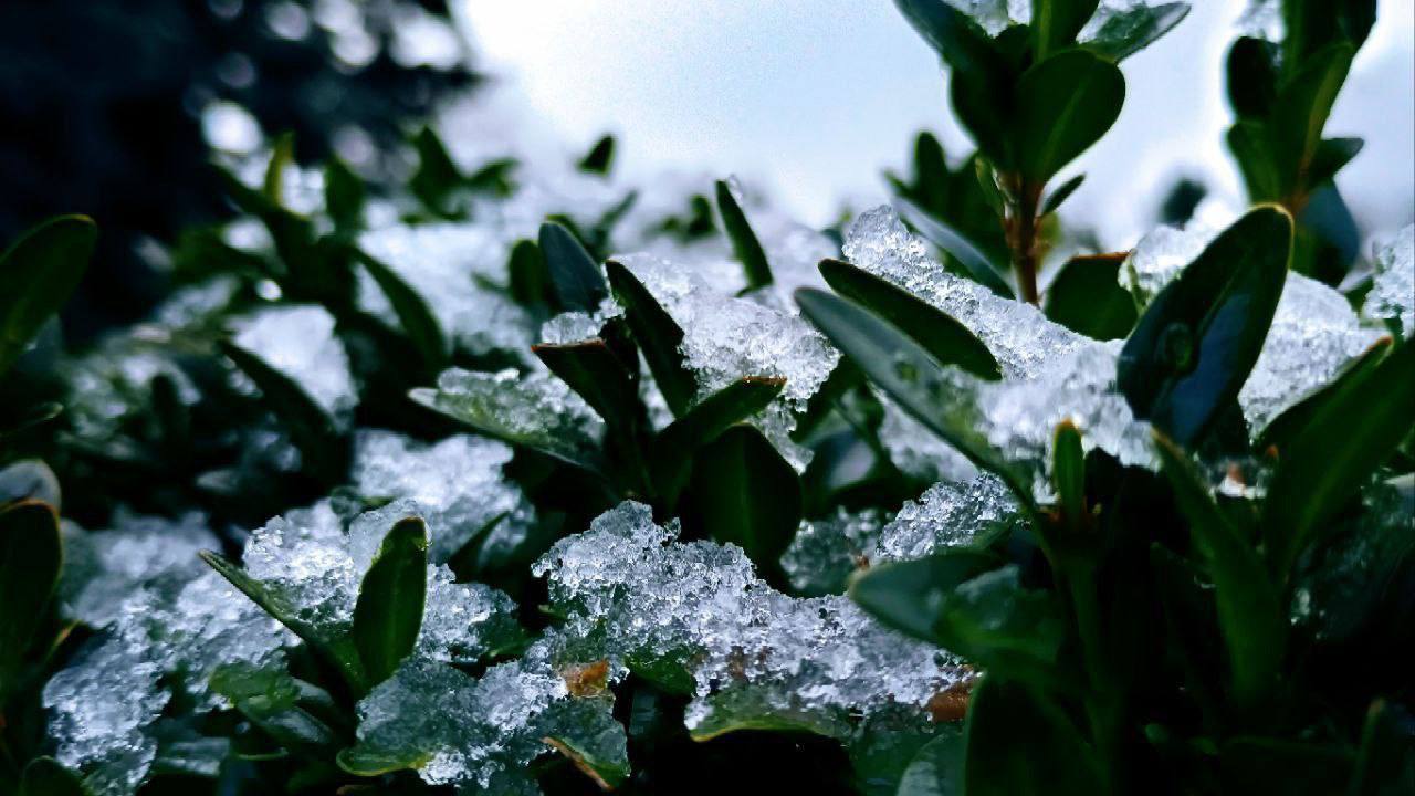 Дубоссары в лёгком снежном покрывале Дубоссары в лёгком снежном покрывале
