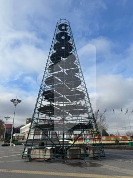 Тирасполь, каркас главной новогодней ёлки страны почти готов