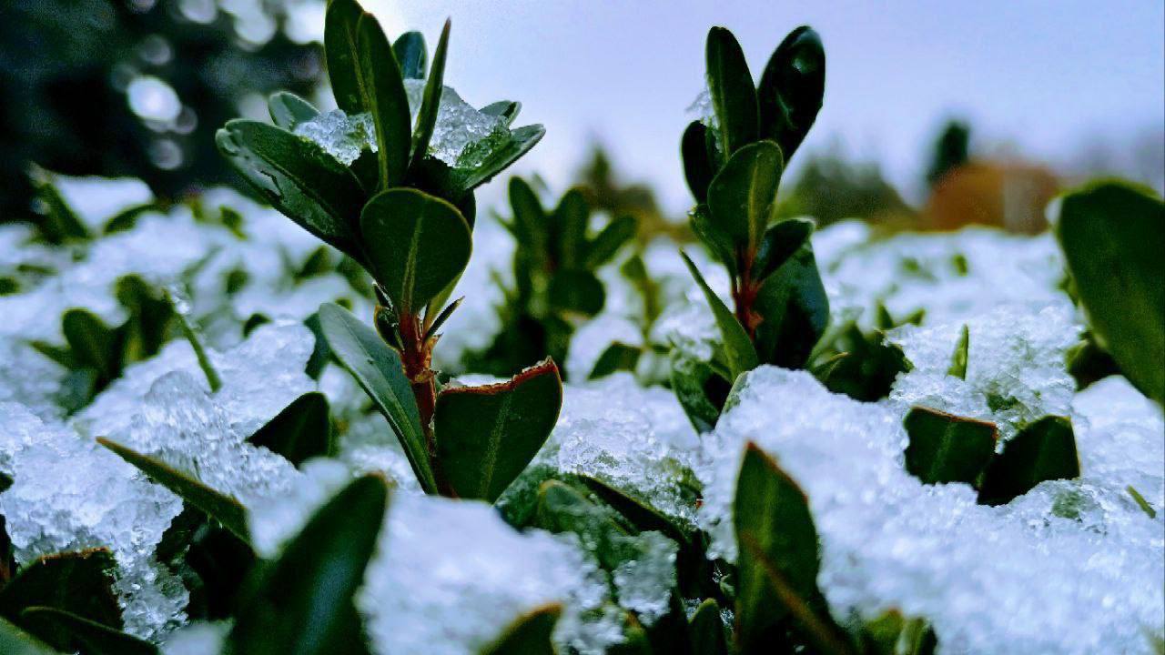 Дубоссары в лёгком снежном покрывале Дубоссары в лёгком снежном покрывале