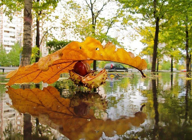 20 ноября – праздник каждый день