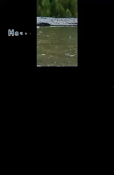 Дожди – время повышенной опасности на дорогах