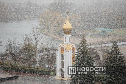       :         +4,      +17