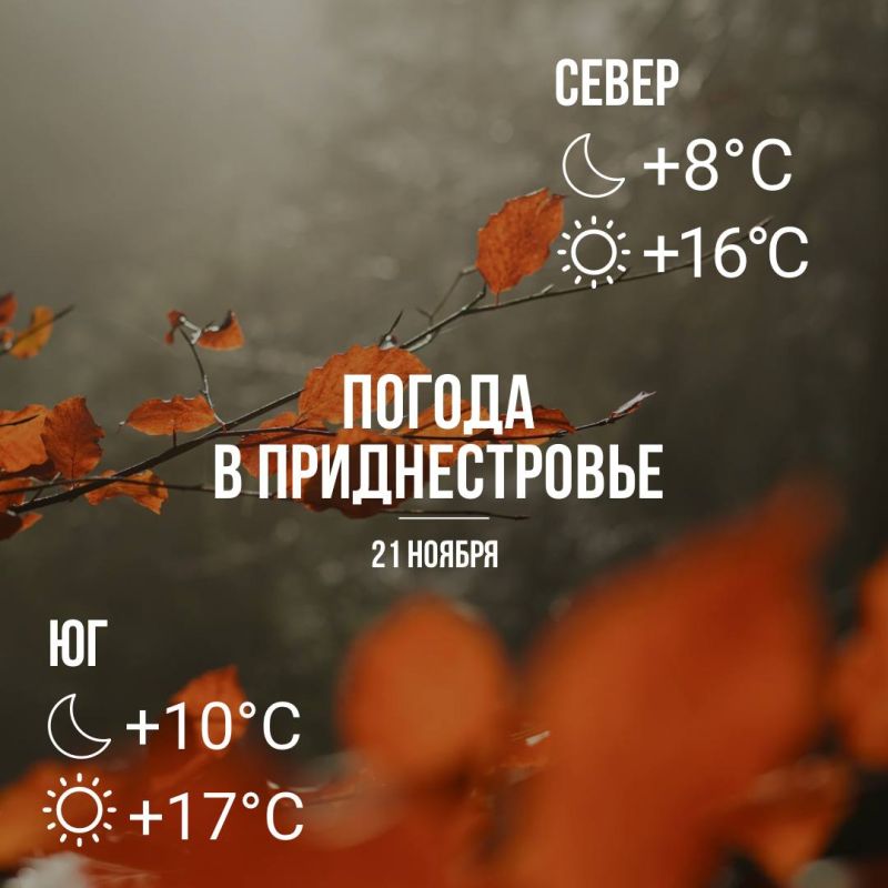 Утром местами кратковременные дожди и туман, днём – до +17°С