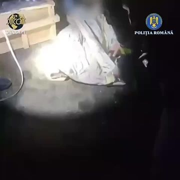       ( ) ,   ,     ,  18   , 8  ,   ...