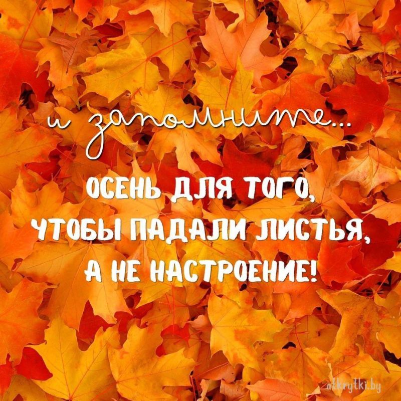 24 НОЯБРЯ. ожидается облачная погода с прояснениями, без существенных осадков